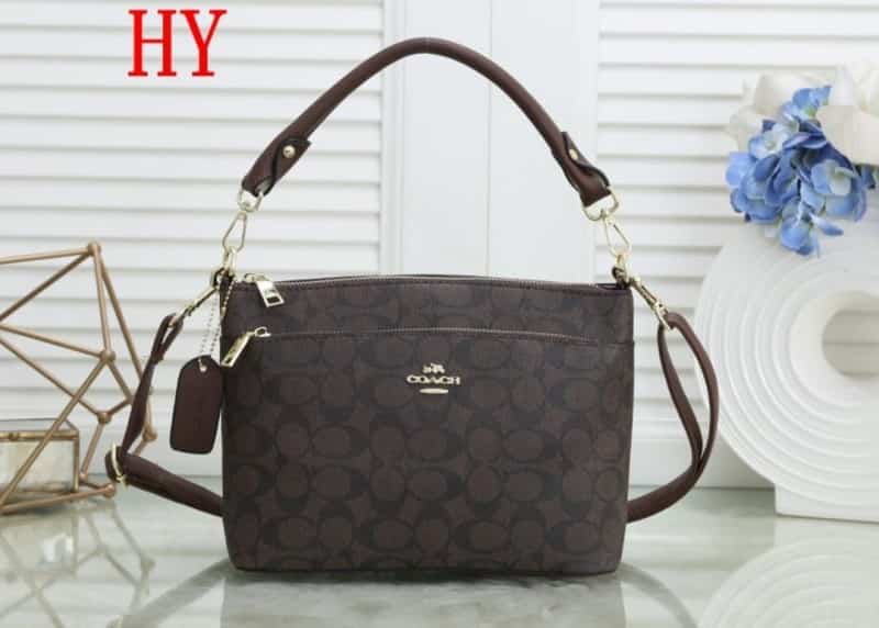 COACH_Dupe_Monogram_Sling_Bag_807